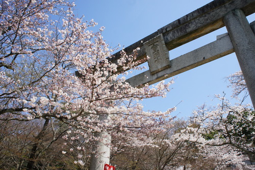 福岡旅行　（竈門神社）_f0215714_16525466.jpg