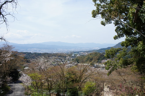 福岡旅行　（竈門神社）_f0215714_16541041.jpg