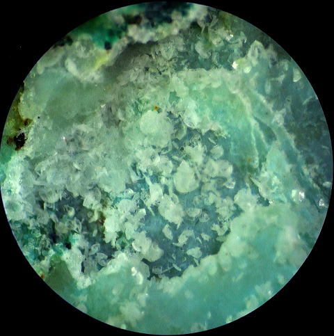 d0045626_21484398.jpg