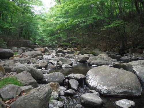 新規開拓 H川釣行 その2_c0149633_17094365.jpg