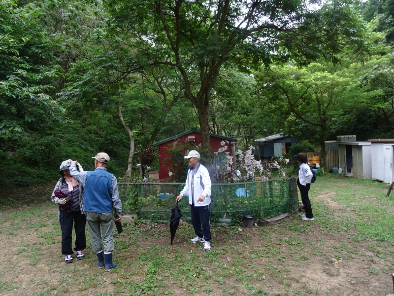 c0108460_18095343.jpg