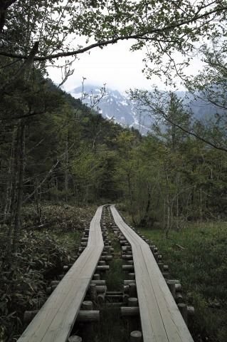 岳沢湿原から岳沢小屋へ_c0362972_19582118.jpg