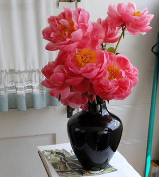 芍薬の命 Peony\'s life_c0053177_1153163.jpg