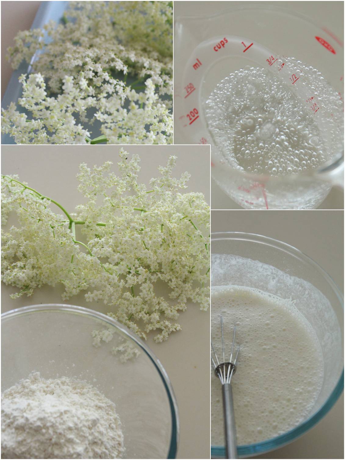 elderflower fritters_a0107981_91116100.jpg