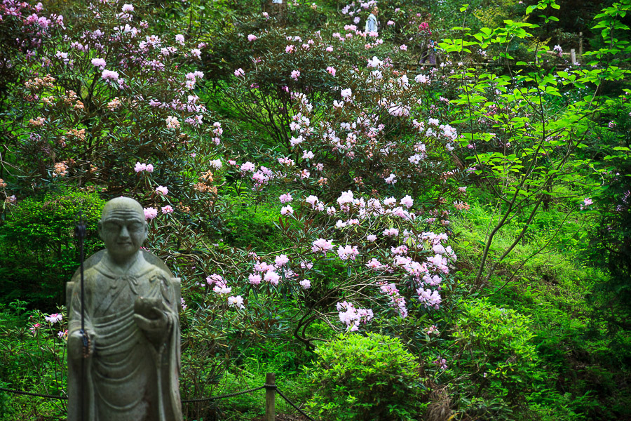 奈良行脚！ ～岡寺～_b0128581_2112111.jpg