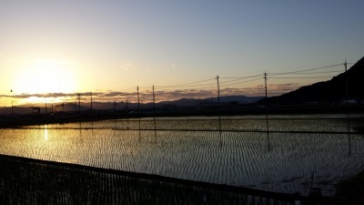 夕日とチップス。_e0168583_09043434.jpg