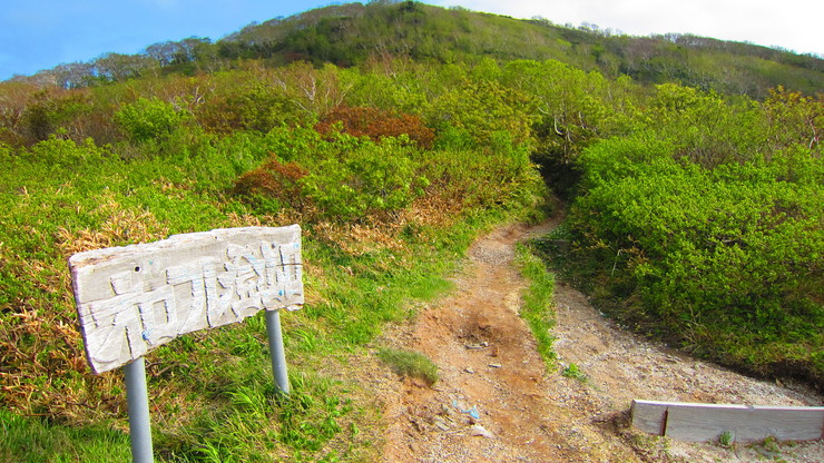 a0242984_1321451.jpg
