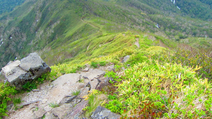a0242984_14191550.jpg