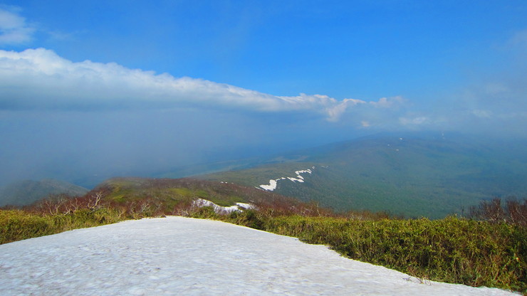 a0242984_1423551.jpg