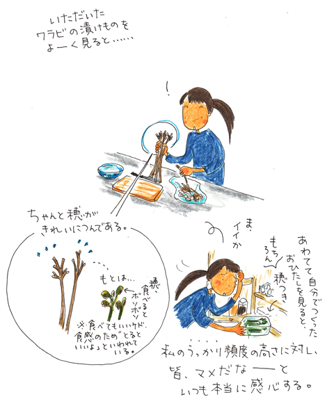 私とワラビとワラビの穂_f0236291_62792.gif