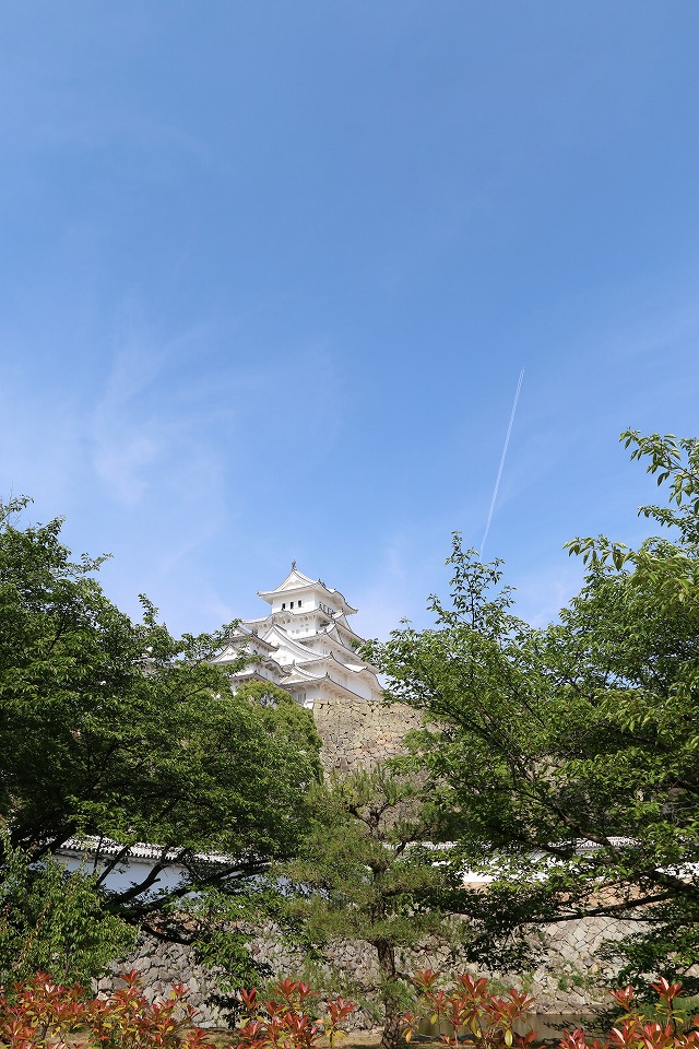 b0190092_19581431.jpg