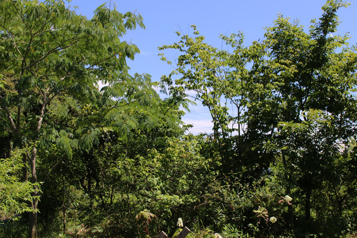 d0100095_08460829.jpg