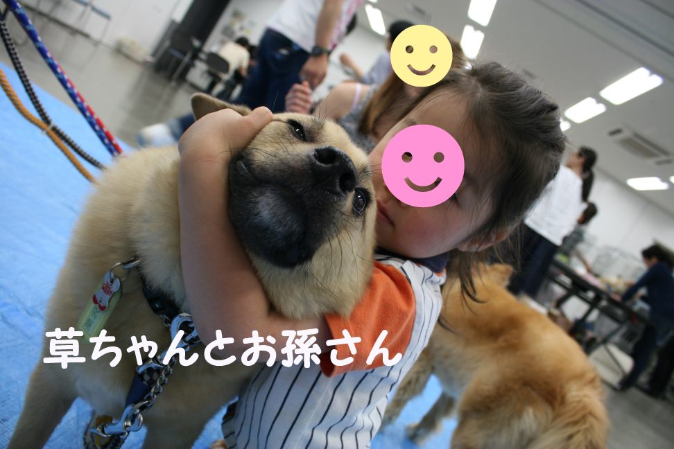6日と24日の里親会_f0242002_2473790.jpg