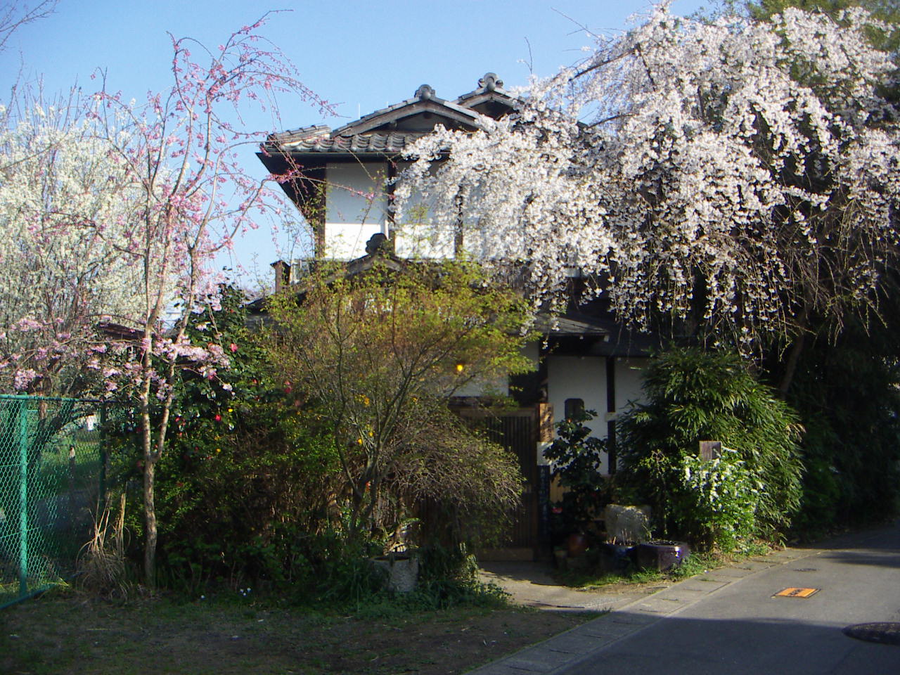 f0173908_4315515.jpg