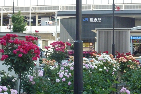 d0025414_073970.jpg