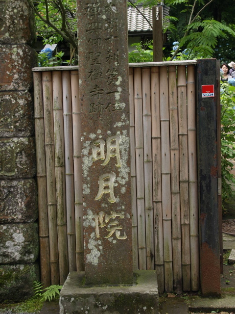 北鎌倉～花のお寺と古民家カフェ～_f0065114_20331224.jpg