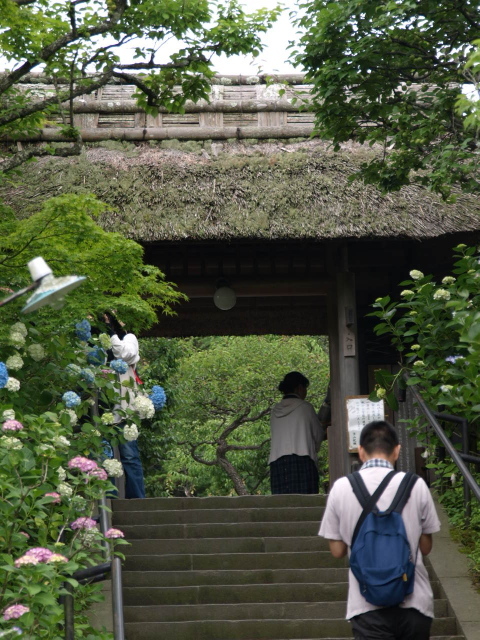 北鎌倉～花のお寺と古民家カフェ～_f0065114_20411634.jpg