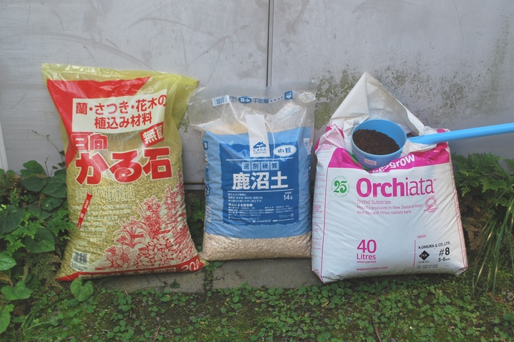キンリョウヘンの植え替え用土 いよかん遊蜂園 キンリョウヘンの植え替え用土 いよかん遊蜂園