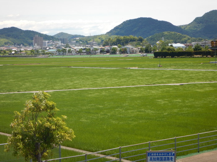 a0248230_21543888.jpg