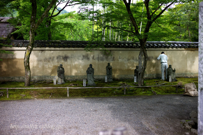 d0108132_156716.jpg