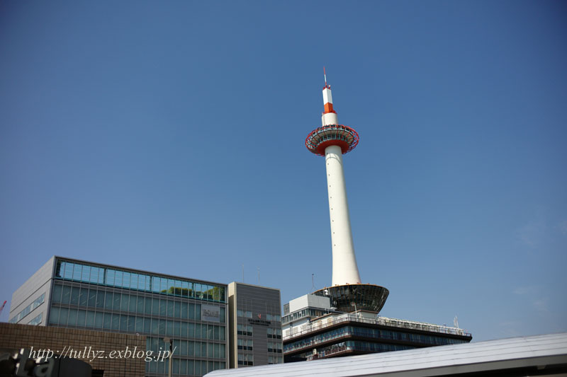 d0108132_15973.jpg