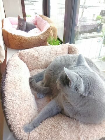 今日の306_d0152937_11203921.jpg