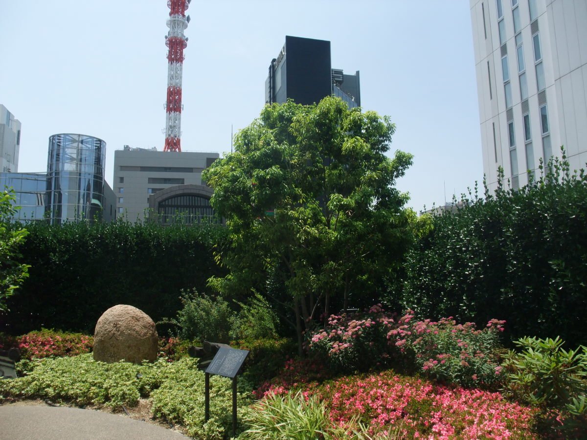 a0303241_11202417.jpg