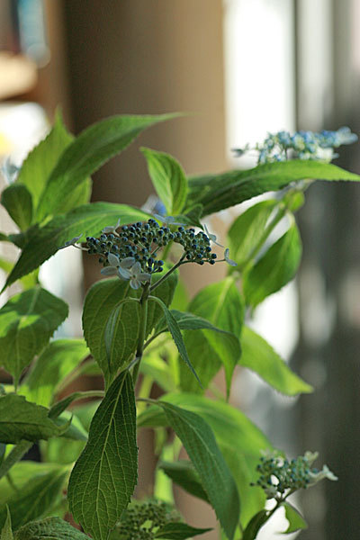 f0271343_08293950.jpg