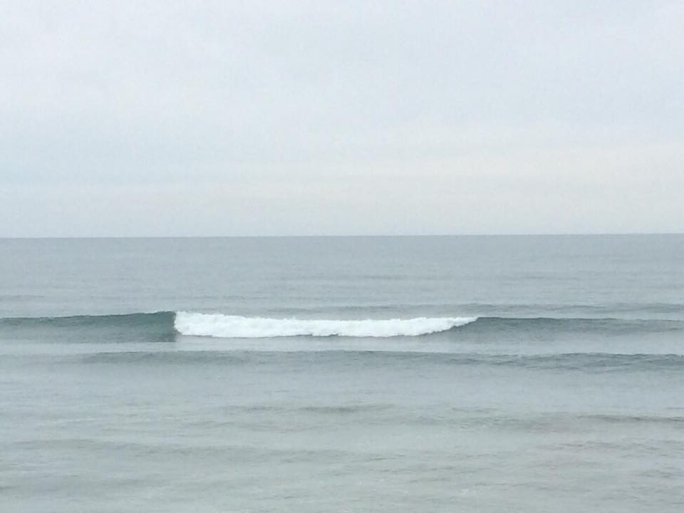 c0254151_16564764.jpg