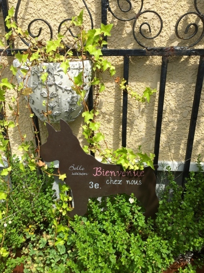d0265755_11172436.jpg