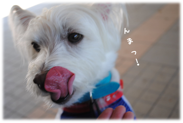 b0242873_00243711.png