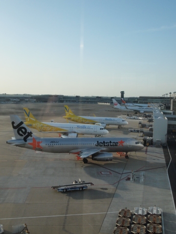 スノードロップを見に北海道へ･･･････その２_b0331802_16264232.jpg