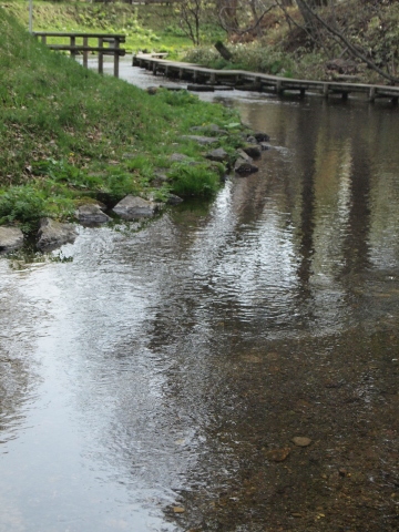 スノードロップを見に北海道へ･･･････その３_b0331802_21353735.jpg