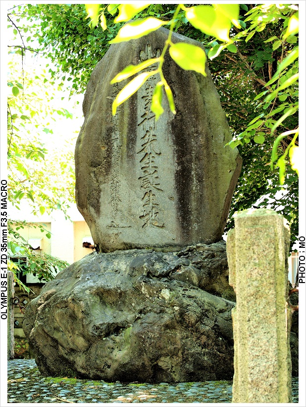 c0185705_20465696.jpg