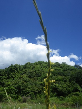 c0280206_812285.jpg