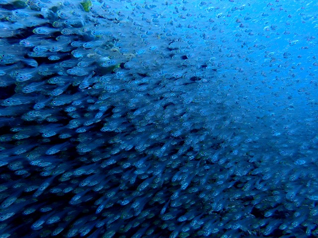 15年gw 沖縄伊是名島 Blue 楽子の小さなことが楽しい毎日