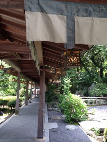 初夏の大井神社_d0255514_15455069.jpg