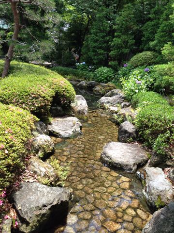 初夏の大井神社_d0255514_15455223.jpg