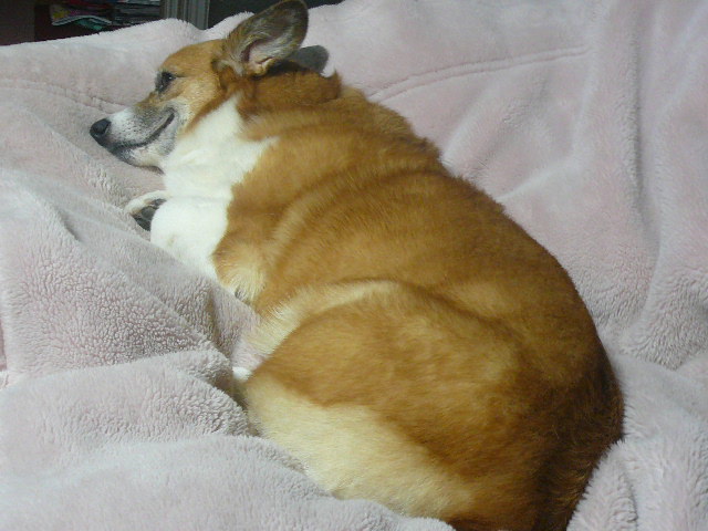 e0026017_2092453.jpg