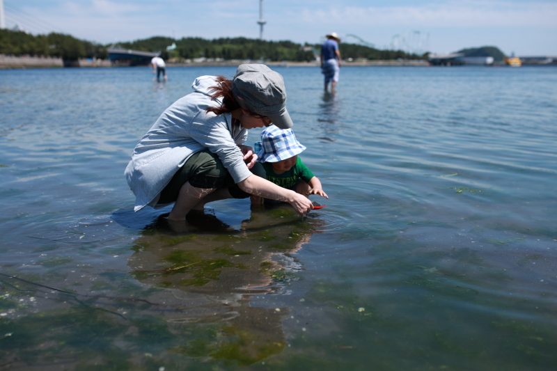 八景島　海の公園と紫陽花_c0369219_21160394.jpg