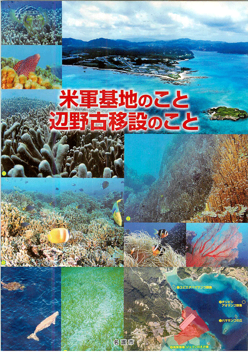 （アーカイブ）5・24辺野古基地反対国会包囲　配布物より_f0212121_214559.gif
