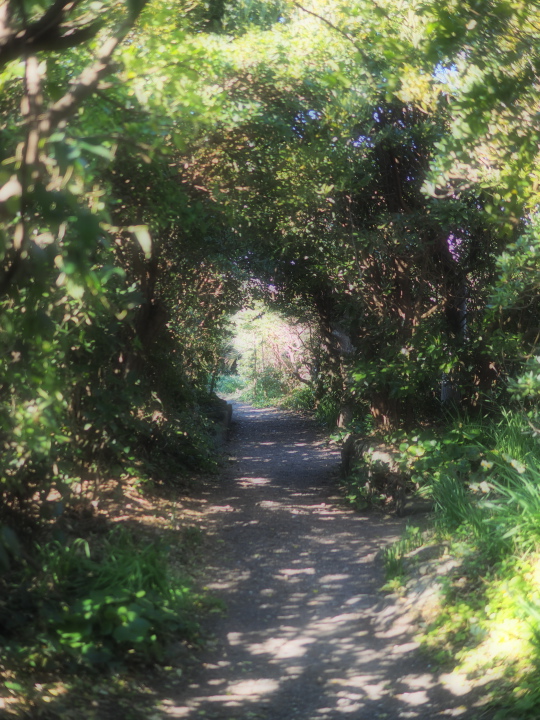 b0244424_23284533.jpg