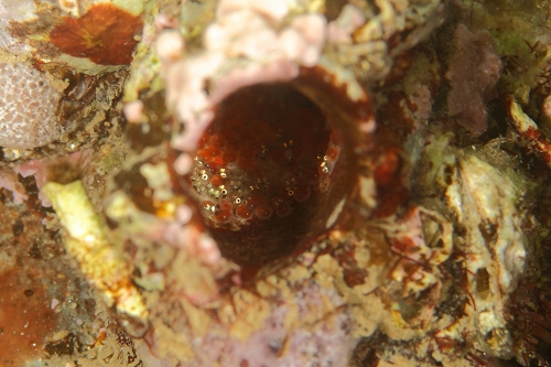 f0206424_1754988.jpg