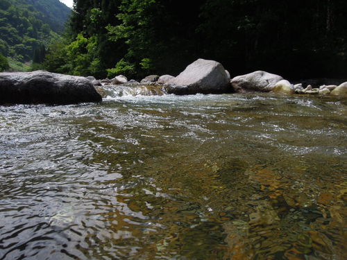 e0147226_002231.jpg