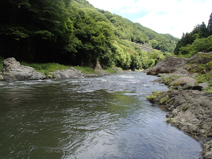 d0172227_6373438.jpg