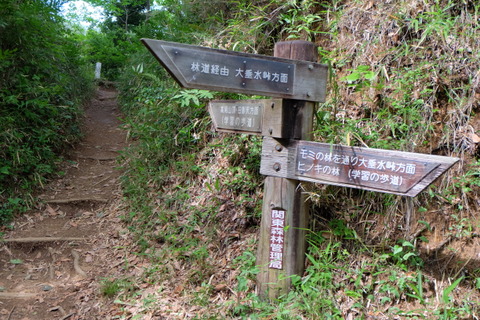 b0281732_5402690.jpg
