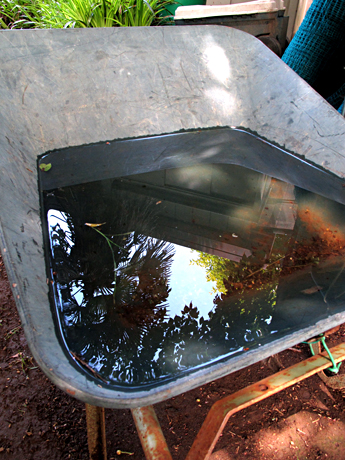 f0031535_18383052.jpg