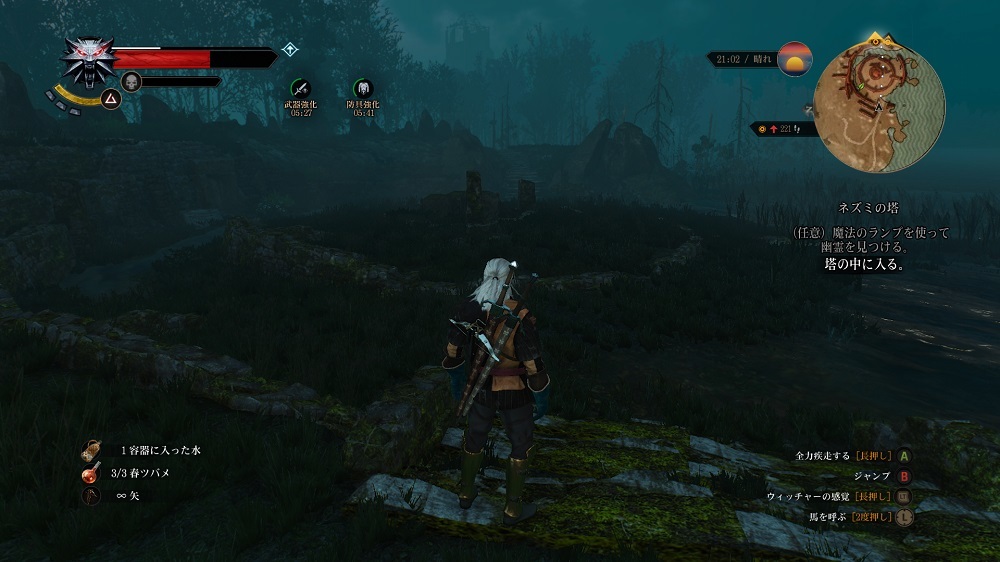 THE WITCHER3 WILD HUNT　【ネズミの塔】_a0054040_23425476.jpg