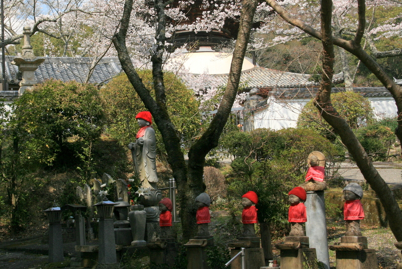 和歌山根来寺_d0052340_1539164.jpg