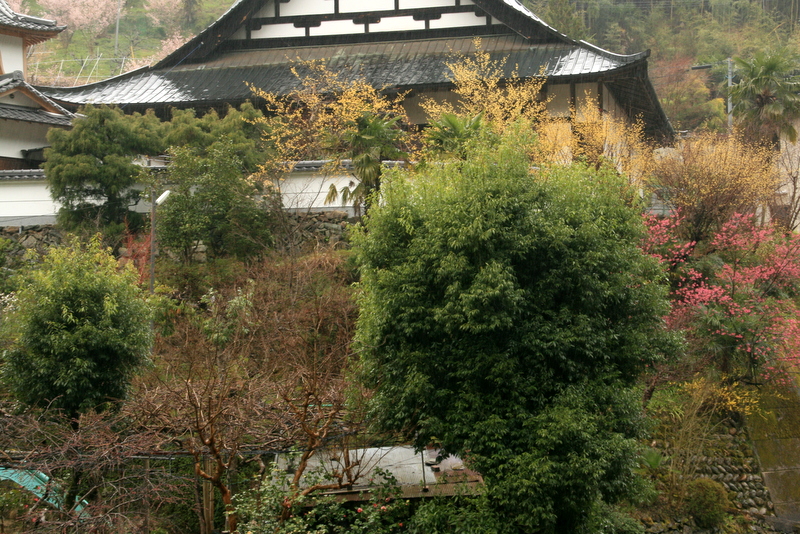 西吉野、、雨上がり_d0052340_15461930.jpg